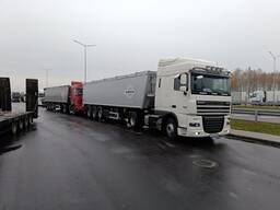 Услуги Зерновозов/Щеповозов. Транспортировка с/х продукции под ключ