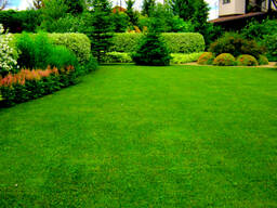 Устройство газонов