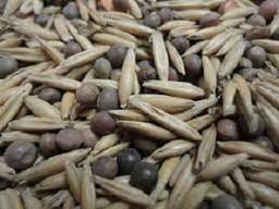 Вика-овсяная смесь