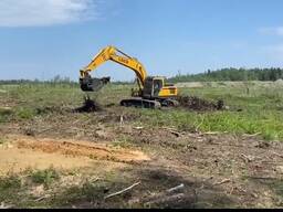 Вырубка деревьев, выкарчевка пней, раскарчевка (спил, валка, обрезка)