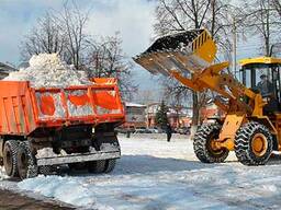 Вывоз и уборка снега в Витебске - самосвалы