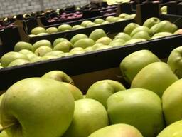 Яблоки