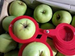 Яблоко Голден Делишес