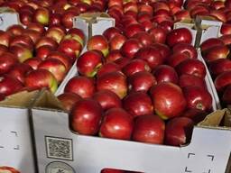 Яблоко свежее 2025г. (Молдова)