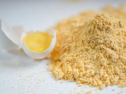 Яичный порошок