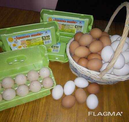 Купить яйца в белоруссии. Белорусские яйца. Яйцо белорусского производства. Яйца чемоданчик Белорусские. Белорусские яйца в России.