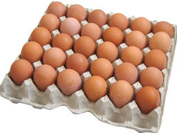 Яйцо куриное пищевое не фасованное