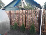 Забор деревянный - фото 1