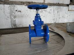 Задвижка 30ч39р Ду50