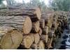 Закупаем дрова колотые сухие в ящиках на экспорт - фото 4