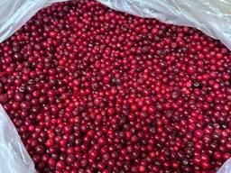 Клюква сушеная/замороженная