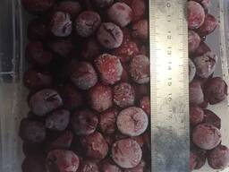 Замороженная ягода , пюре, лиофильная сушка