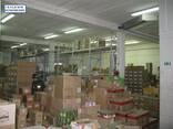 Здание действующего магазина со складскими помещениями - фото 1