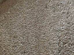 Зерно Фуражное(пшеница озимая)в мешках