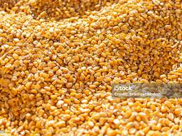 Кукуруза фуражная . Крупный и мелкий опт.
