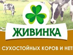 Живинка для сухостойных коров и нетелей мелассированный лизунец кормовой концентрат