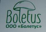Болетус, LLC